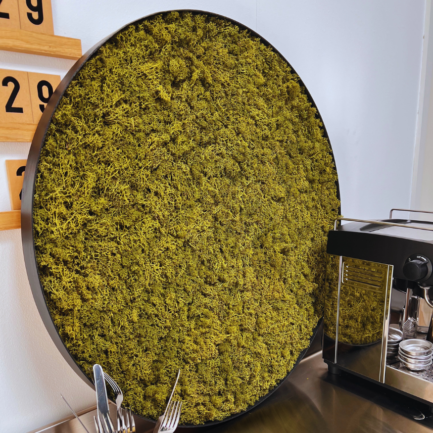 MOS CIRKEL - "Nature Green" - Dänisch produziert