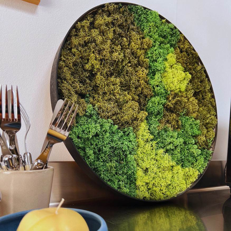 MOS CIRKEL - Designers Choise GREEN - Dänisch produziert